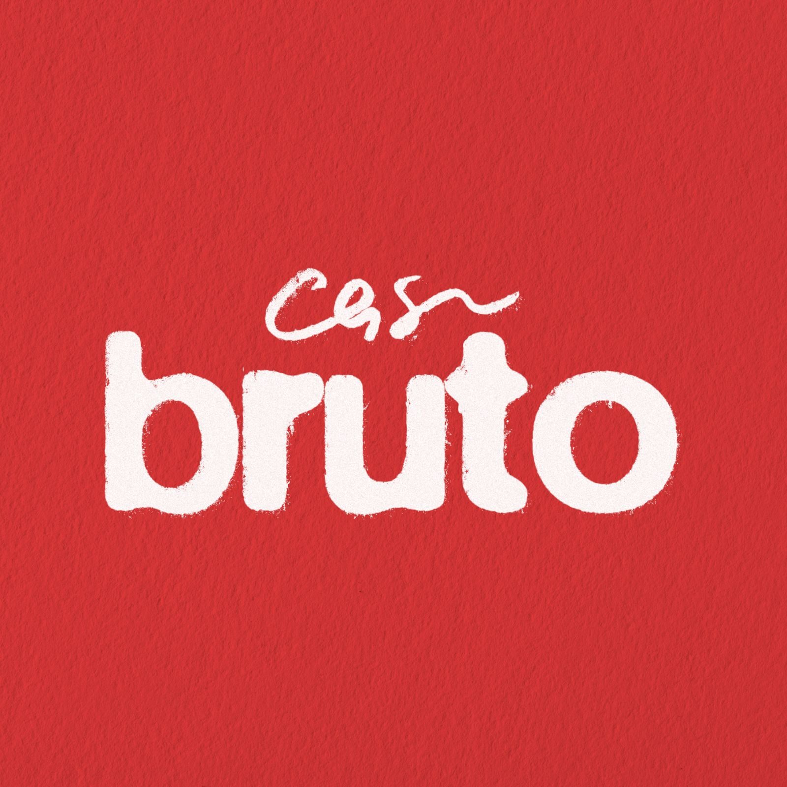 Casa Bruto